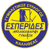 GS Ikaros Kallitheas